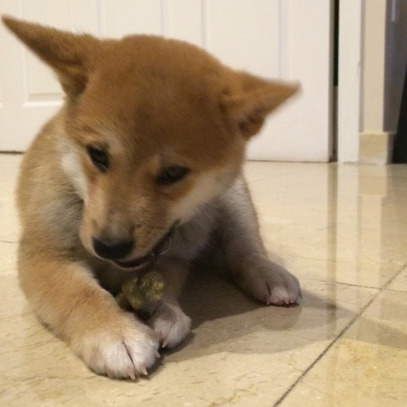 POST PARTY 15% OFF Sale - Picture 3 of 4