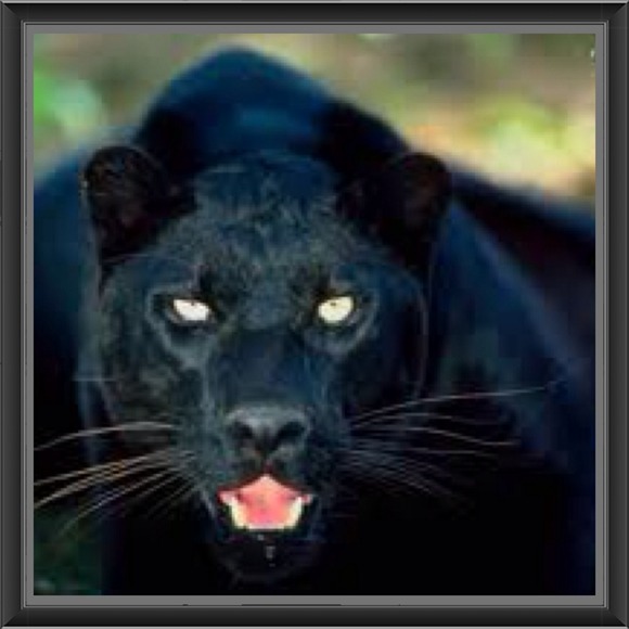 Rococo Woven Mix Pullover - Picture 4 of 11