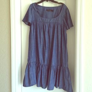 Zara Basic Denim Dress