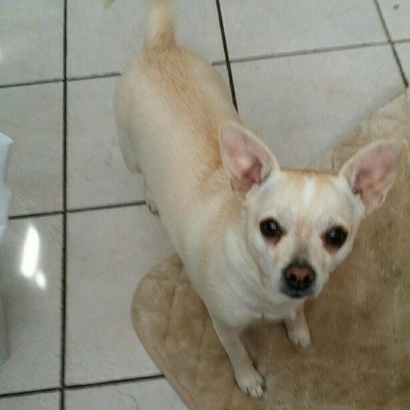 Looking for spring/summer 2020!🎉 - Picture 2 of 2