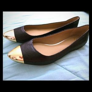 Ann Taylor Gold Tip Pointy Flats