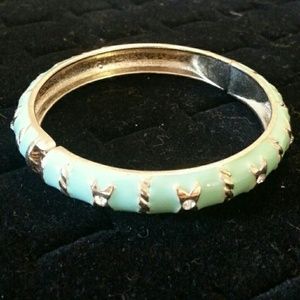 Mint Hinged Acrylic Bangle w/ Cz (X|X|X Style)