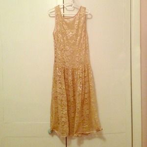 American Apparel Sheer Lace Dress