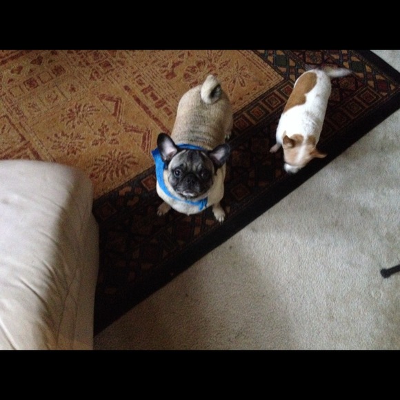 Welcome to my closet - TALL posher - Picture 2 of 4