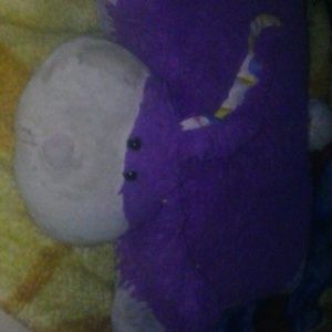 A pillow pet
