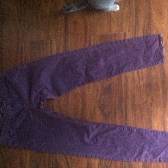 Plum Jeggings 💜
