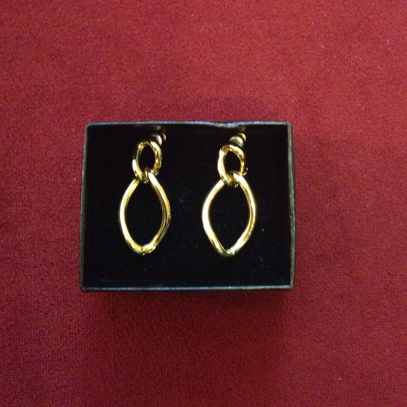 🎉☀️⤵️Statement Chain Link Earrings