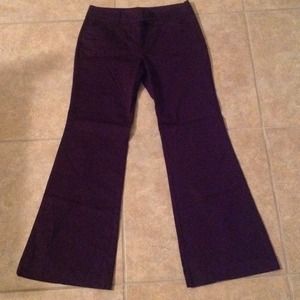 Purple flare cut pants