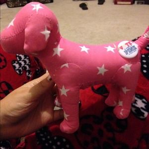 Vote for pink dog
