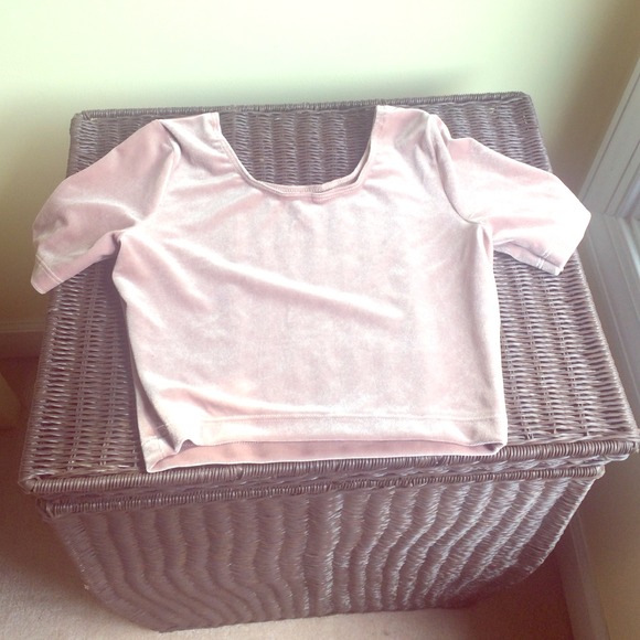 Velvet Crop Top