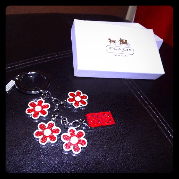 NWOT KeyChain - Picture 1 of 4