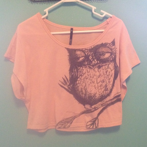 Owl peach crop - Picture 1 of 1
