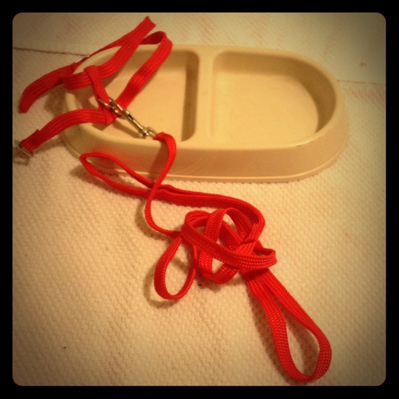 Small pet leash and pet bowl