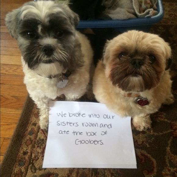 meet your seller 💗 - Picture 3 of 4