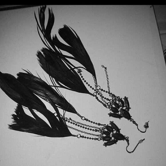 Feather Earrings