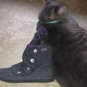 Grey Felt Ankle Booties