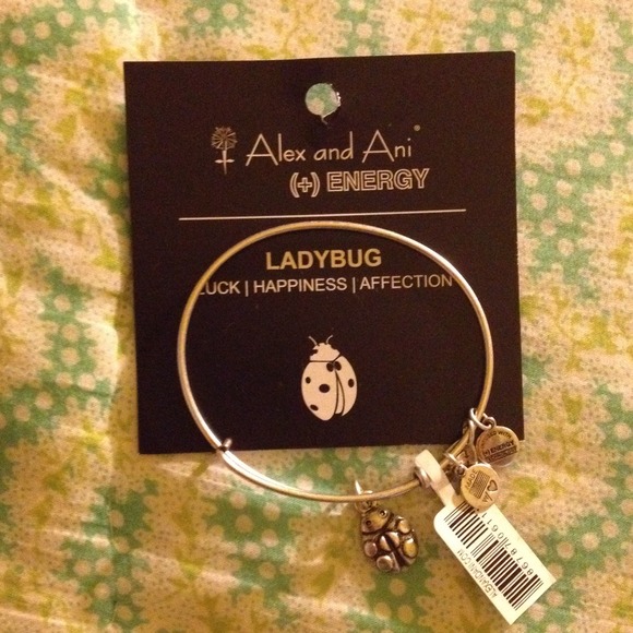 Alex and Ani Energy bracelet