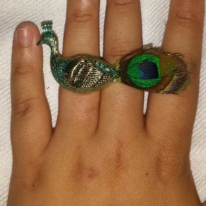 Peacook with Feather Tail!