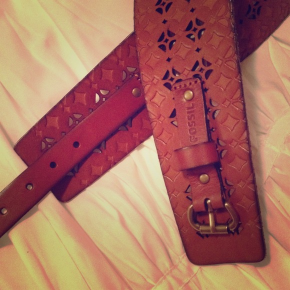 Beautiful Fossil Belt