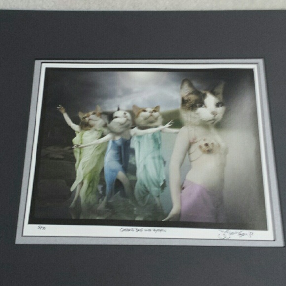 Cat paradise picture