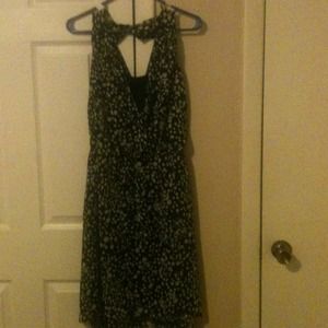 Cato dress new, never worn