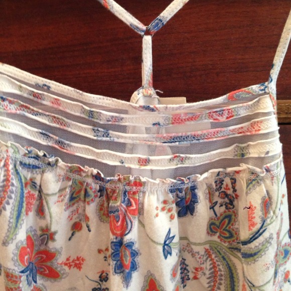 Flowered razorback - Picture 2 of 3