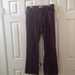 CAbi burgundy velvet feel boot cut pants