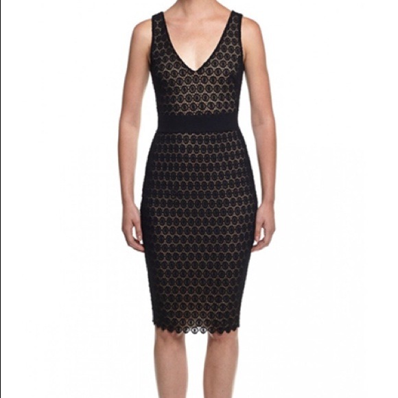 BAILEY 44 Tippi dress