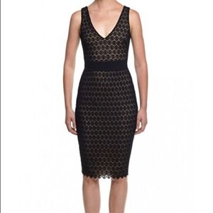 BAILEY 44 Tippi dress