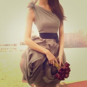 🎉HOST PICK🎉Vera Wang Organza Gown