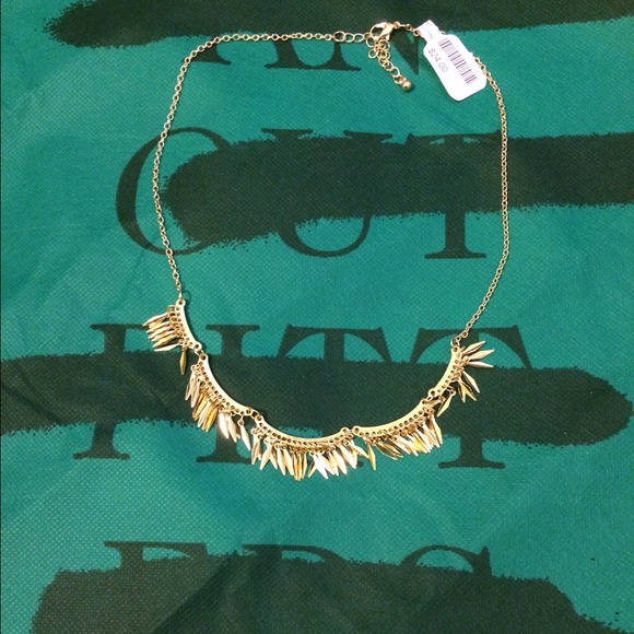 Urban Outfitters Jewelry - Urban Outfitters gold necklace ; Anthro top
