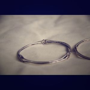 Rattlesnake Rib bracelet cast in solid sterling