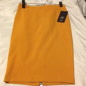 Never worn-Zara pencil skirt