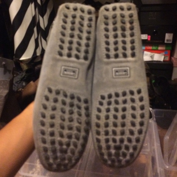 Drivers - Picture 4 of 4