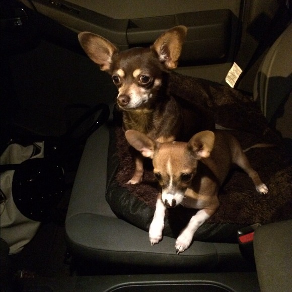 🎀🎀Meet the seller 🎀🎀❗️❗️❗️❗️ - Picture 3 of 4