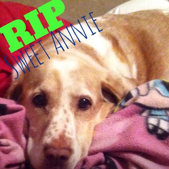 RIP SWEET ANNIE GIRL!! CANT BELIEVE 2 YRS AGO! 😢