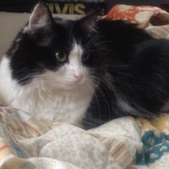 Meet Your Buyer/Seller/Clothing Hoarder Christina! - Picture 2 of 2