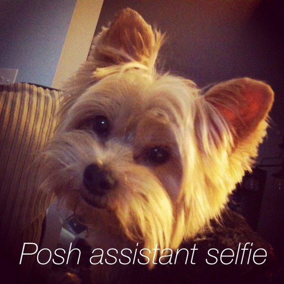 I'm my mom's posh helper.