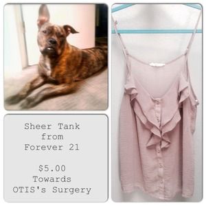 Sheer Blush Colored Ruffle Tank