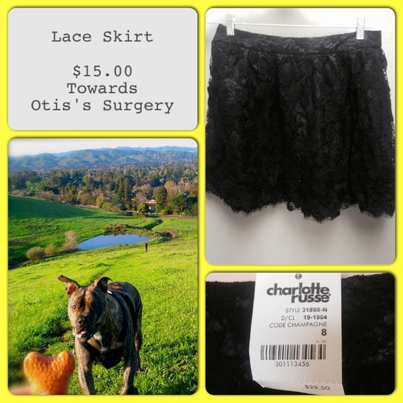 Black Lace Mini Skirt - Picture 1 of 1