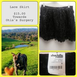 Black Lace Mini Skirt