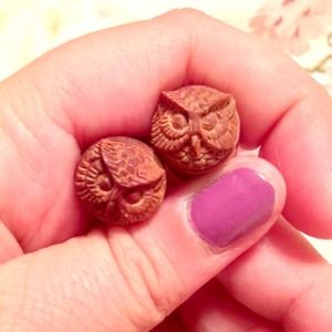 Wooden Owl Plugs