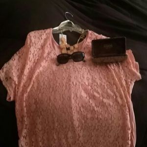 ****Hold for annatarantula****