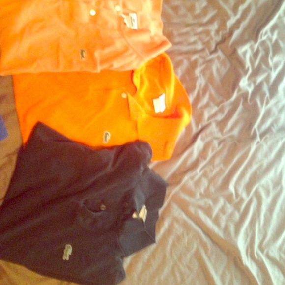 LACOSTE COLLECTION! Xxl to xl😍 awesome buy/deal