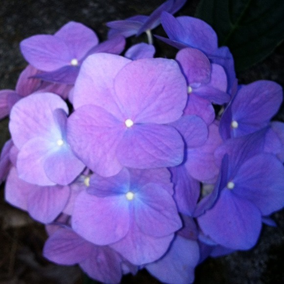 THANK YOU ALL FOR HELPING ME REACH MY GOAL OF 10K - Picture 4 of 4