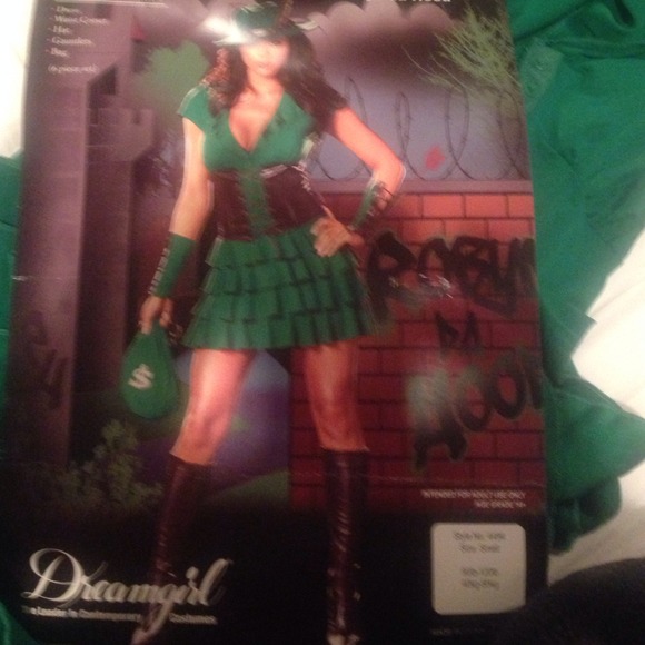 Robin da hood costume