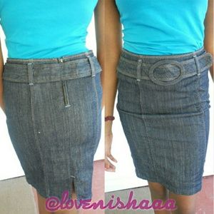 Petite Banana Republic Skirt