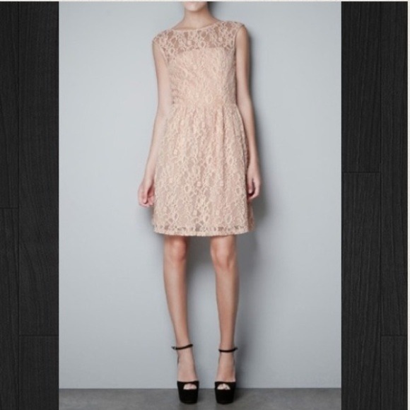 Zara Lace Dress - Picture 4 of 4
