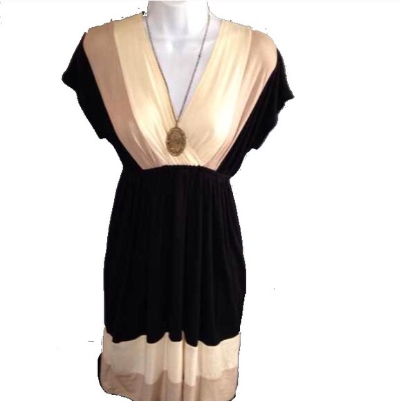 Nwot colorblock dress