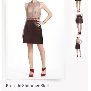 Leifsdottir Brocade Shimmer Skirt